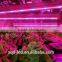 2016 high lumen factory price t8 8w tube led tube light Medicinal Plants Vegetative Grow Light