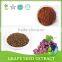 100% Natural Proanthocyanidins OPC95% Grape Seed Extract Powder