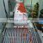 Frozen Strawberry/frozen Fruits And Vegetables/iqf Fruits
