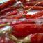 Crushed chilly