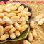 red peanuts/raw peanut/chinese peanut