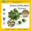 Competitive Price Green Cofffee Bean Extract Chlorogenic Acids