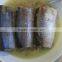 canned mackerel in vegetable oil