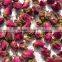 Rose buds