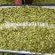 pumpkin seeds kernel shine skin Grade AA