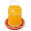 Chicken Feeder for poultry farm