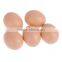 fake chicken egg dammy plastic chicken egg