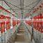 Automatic Auger Feeding System for Piggery