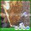 The Ways of No Resistance and No Residue to Solve Bee Mites Anti-Mite Frames with Top Quality