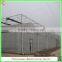 Hot Sale Single-span/multi-span Plastic Film Greenhouse for Agriculture