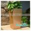 ICES Large Capacity Plastic Golden Flower Pot,Self Watering Planter