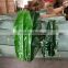 SJ700120 Indoor decoration plastic fake banana tree leaf