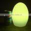 RGB Indoor Restaurant Living Room waterproof Egg Shape Decor LED Soft Light