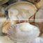 NEW SEASON FROZEN SHORT NECKED CLAM