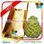 TPBI Shakya Fruit Cover Protection Paper Bag Sugarapple Growing Paper Bag
