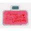 CS-902 health scale