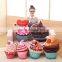 2D/3D cushion stuffed plush ice cream cushion