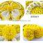 beanie hat,wholesale candy winter lady ball beanie hat