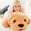 Stuffed wholesale sleeping bull dog plush toy