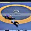 Multi-size Wrestling Roll Mat With Competition Price