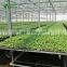 Commercial Nursery Equipment Gardening Station Tables