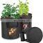 felt tomato plants seeding bag