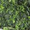 IQF Frozen spinach :2-3cm,3-5cm,5-7cm