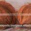 Coconut Supplier in India