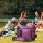 GINT 30can Hot Selling High Quality Wine Cans 3 Days Insulated Cooler Bag