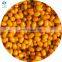 Sinocharm BRC Certified IQF Berries Fruit Frozen Sea Buckthorn