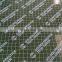 Full Birch Plywood 1220*2440*18mm Formwork For Construction Green PP Plywood