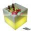 LED Rechargeable waterproof bar champagne ice bucket Illuminated Warm Colour Plastic Led Beer Ice Bucket with Speakers