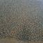 Organic pellet binder for the iron and steel industry