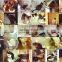 Pet Supply Pet Cat Potty Kitty Cat Toilet Training System with catnip included                        
                                                Quality Choice
                                                    Most Popular