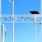 5 Years Warranty 5M 24W Solar LED Street Lights(sky Angle Series)
