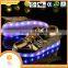 Bright 8 color flashing led shoes sneakers 2016 factory