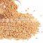 durum wheat