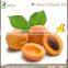 Cosmetic Grade Sweet Almond Oil Price in China
