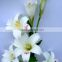 White Lily Flower Printer_Unique