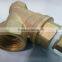 Brass Y Strainer