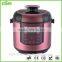 Delux Multi Pressure Cooker CY-A60