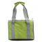 Fashion Insulated lunch tote bag