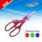 Useful chicken bone scissors for cutting bone with bottle opener