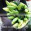 Beautiful Fresh Cut Lilium Flowers For Wedding Ceremony