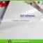 China gloden media supplier Eco solvent Glossy self adhesive PP sticker rolls