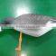 XPE Foamgoose Decoys