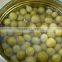 canned green peas export with good quality