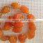 Chinese wholesale dried apricots