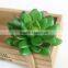22 Spring Styles Medium Size Succulent Plants Artificial Mini Succulent Plants
