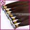 Cheap human 100% brazilian hair clip-in hair extension